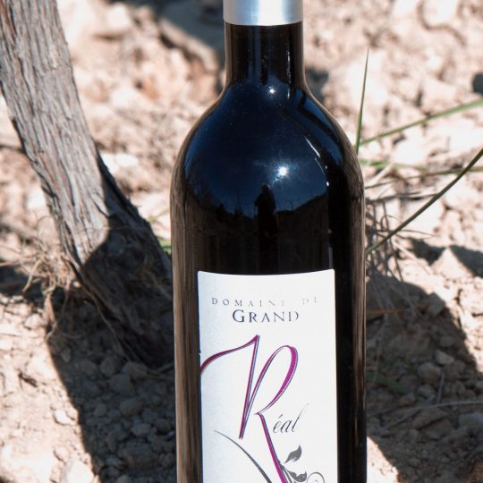 vin rouge 2015 bourguette