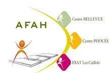 Association pour les Foyers et Ateliers des Personnes Handicapées (AFAH)